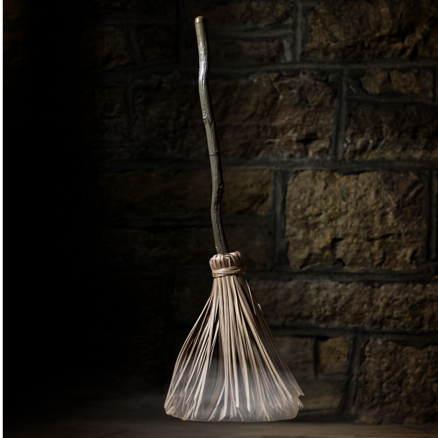 Enchanted Dancing Broom