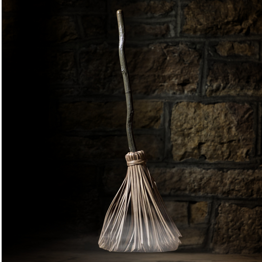 Enchanted Dancing Broom